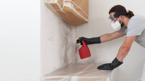 Professional Bathroom Mold Removal technician working in Sarasota, FL